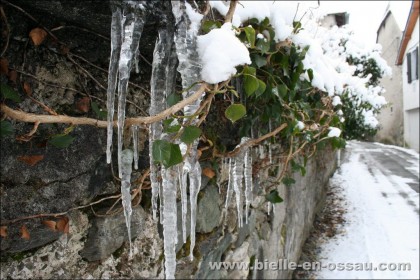 Stalactites de glace