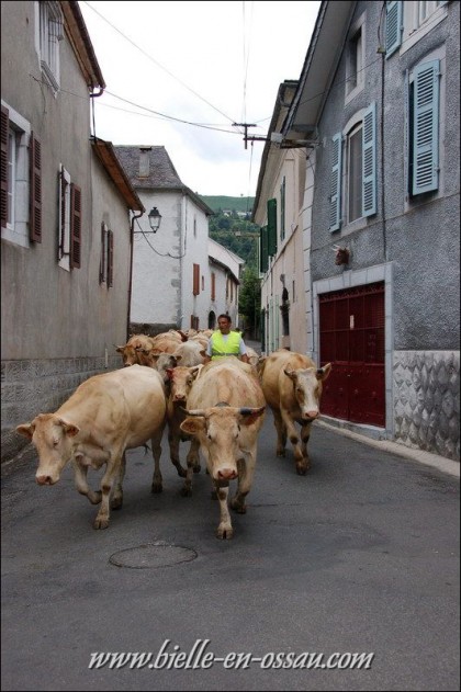 Passage à Bielle, en route pour Bious!