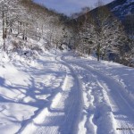 hiver 2010 028 hiver 2010 028