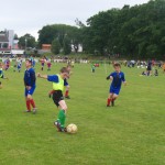 foot-bielle-cambo268_redimensionner foot-bielle-cambo268_redimensionner