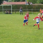foot-bielle-cambo272_redimensionner foot-bielle-cambo272_redimensionner