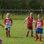 foot-bielle-cambo273_redimensionner foot-bielle-cambo273_redimensionner