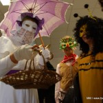 DSC_7269 DSC_7269