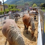 2011-foire-bielle_08 2011-foire-bielle_08
