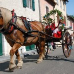 fete-bielle-2010 (11)