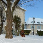 2012-bielle-neige_0024